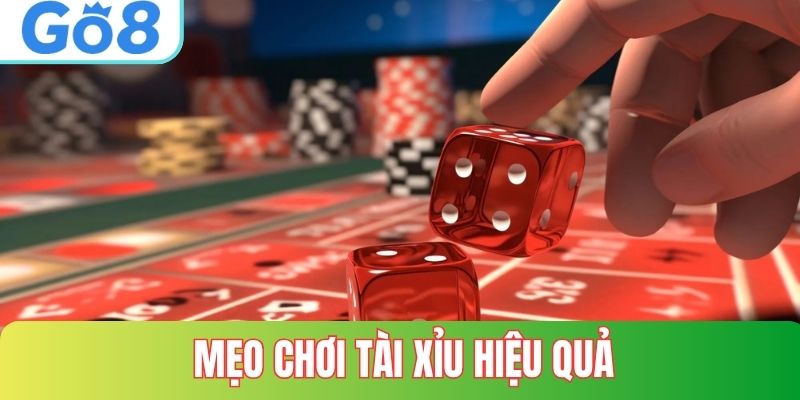 Mẹo chơi tài xỉu hiệu quả nhất tại GO8