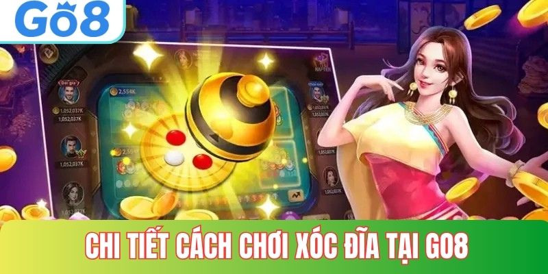 Chi tiết cách chơi xóc đĩa cho người mới