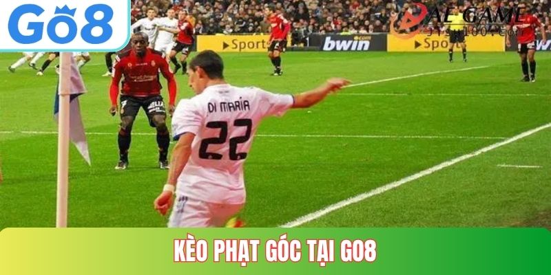 Kèo Phạt Góc tại GO8